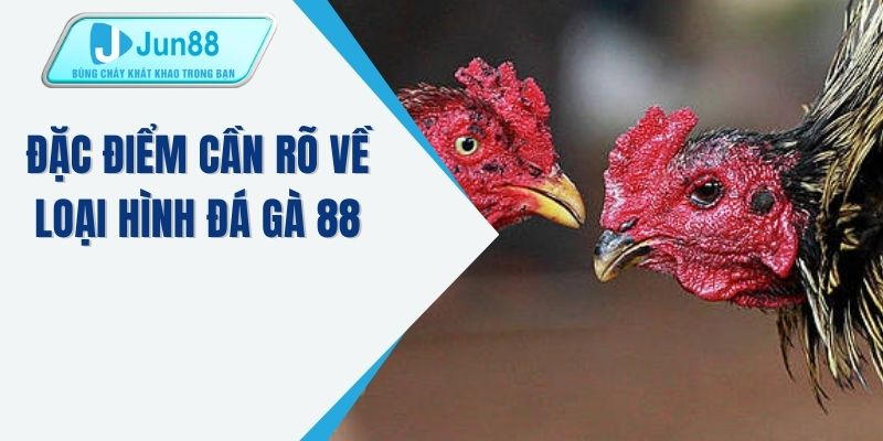 Đặc điểm cần rõ về loại hình đá gà 88